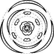 Image 6 - impact-des-extraits-vegetaux-sur-entomofaune-du-tournesol