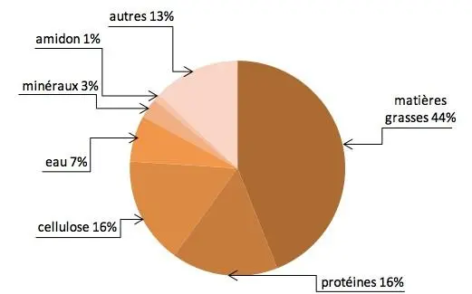 Image 7 - impact-des-extraits-vegetaux-sur-entomofaune-du-tournesol