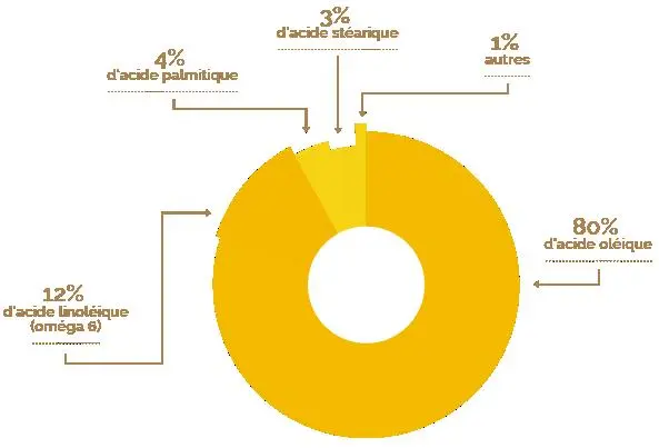 Image 8 - impact-des-extraits-vegetaux-sur-entomofaune-du-tournesol