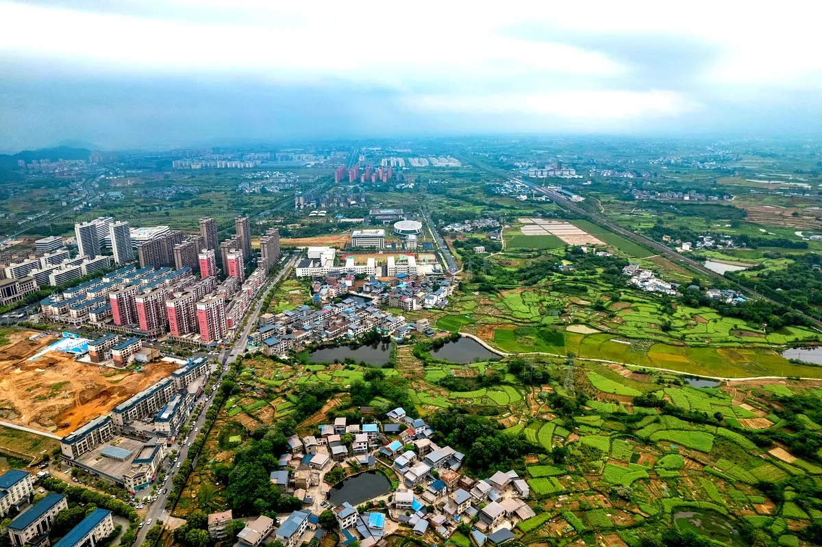 Cadre théorique pour l'adaptation agricole au Tchad