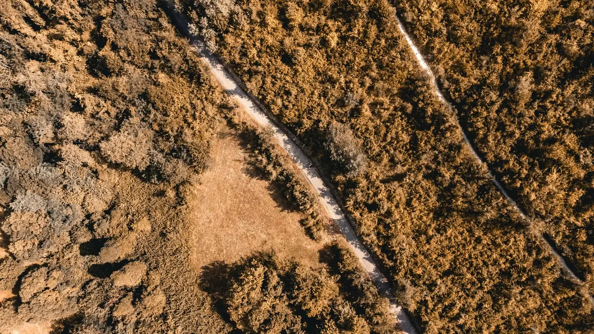 Analyse de cas : méthodes sismiques en géotechnique