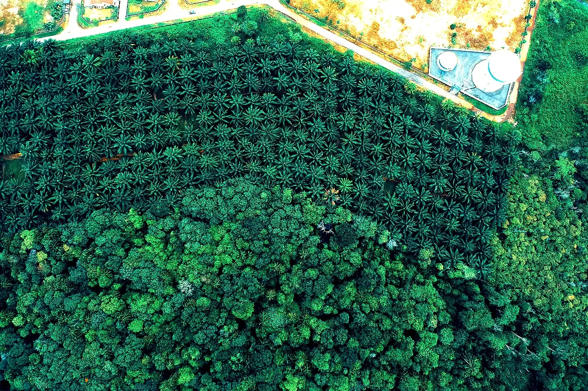 Étude de cas sur l'impact de la variabilité climatique