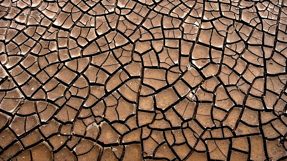 Analyse comparative des conflits climatiques à Gargando