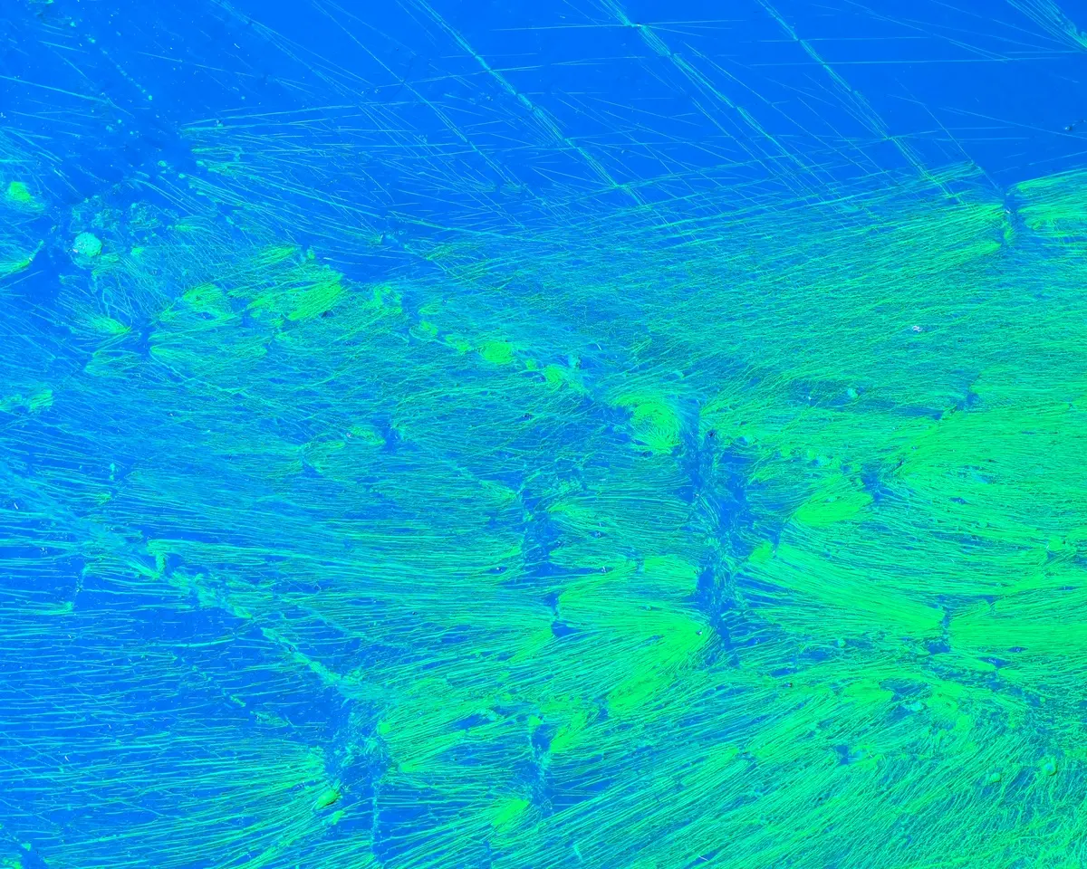 Analyse comparative des ondes de surface : étude approfondie
