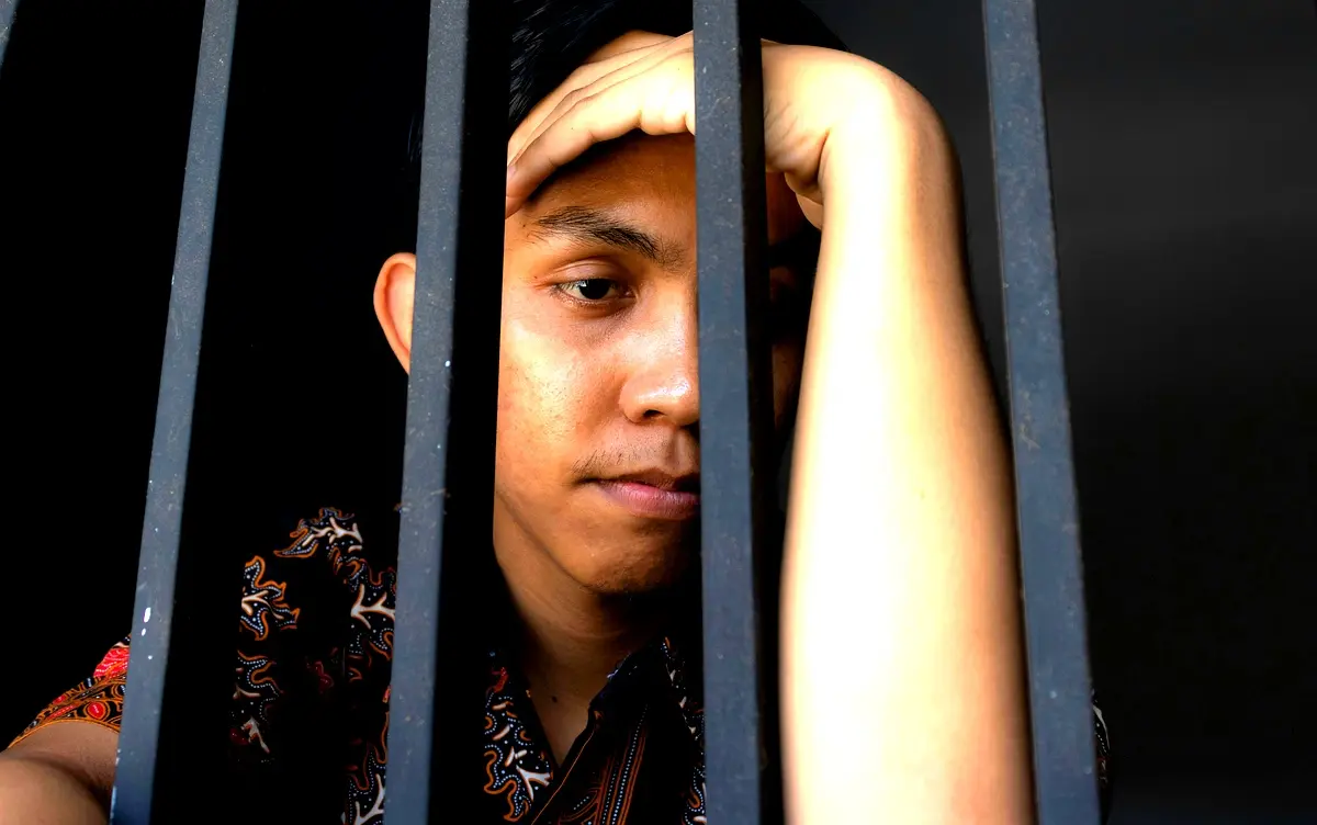 Analyse comparative des violences juvéniles en milieu judiciarisé