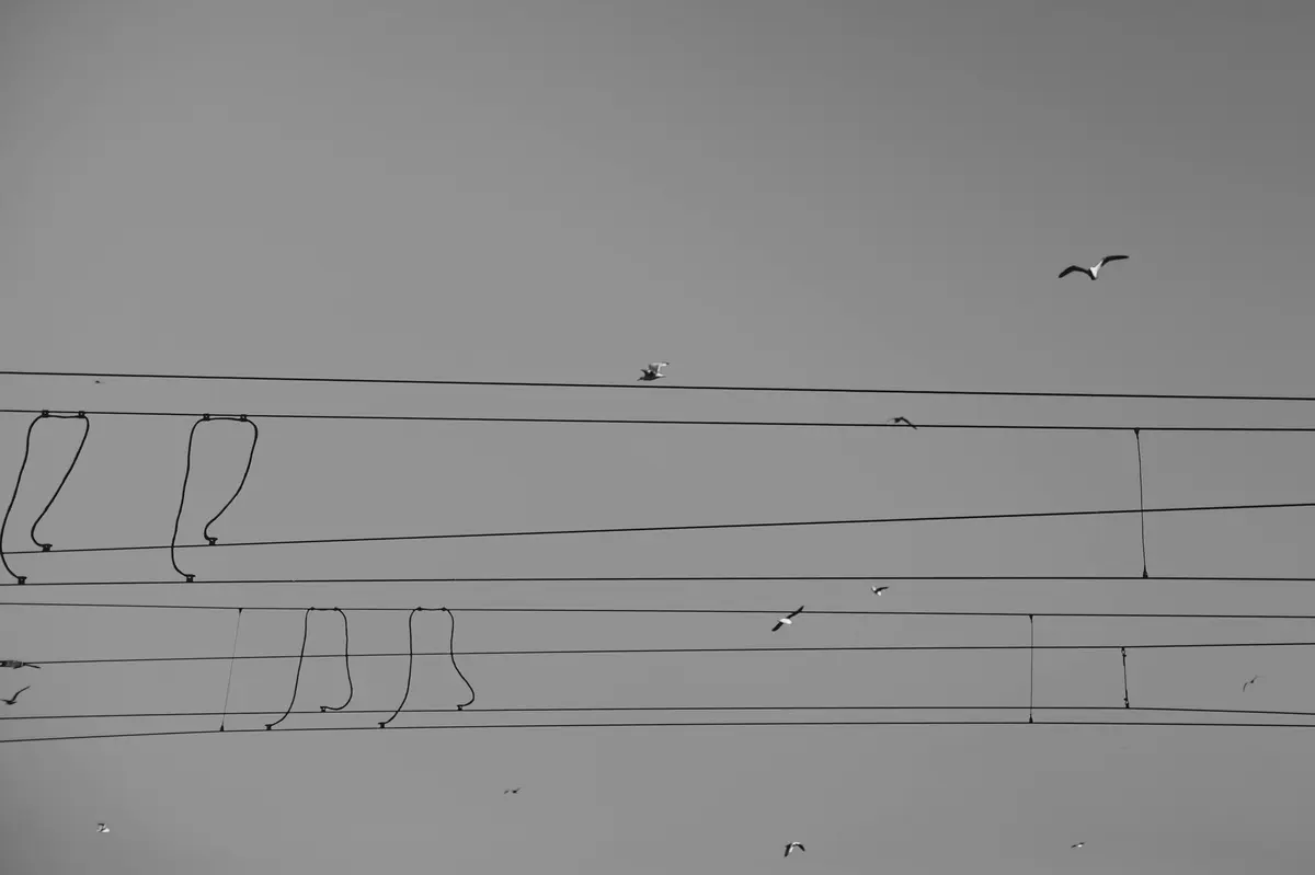 Algorithme PSO pour smartgrid : solutions innovantes