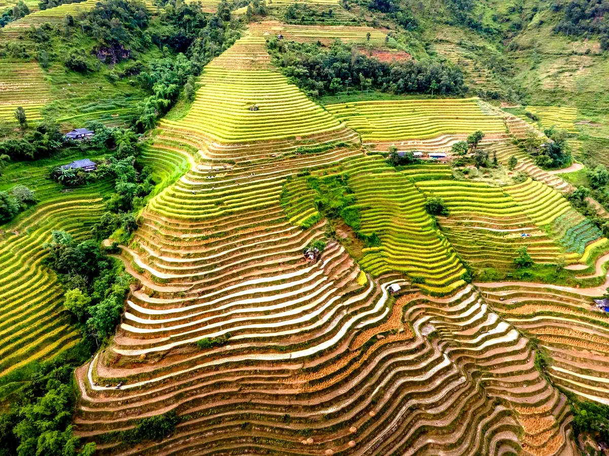 Stratégies de mise en œuvre pour l'agriculture durable au Tchad