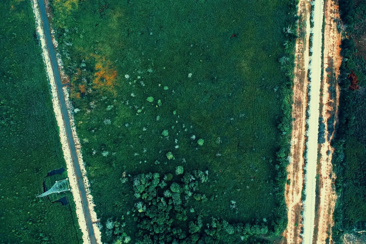 Impact du climat sur le paludisme à N'Djamena