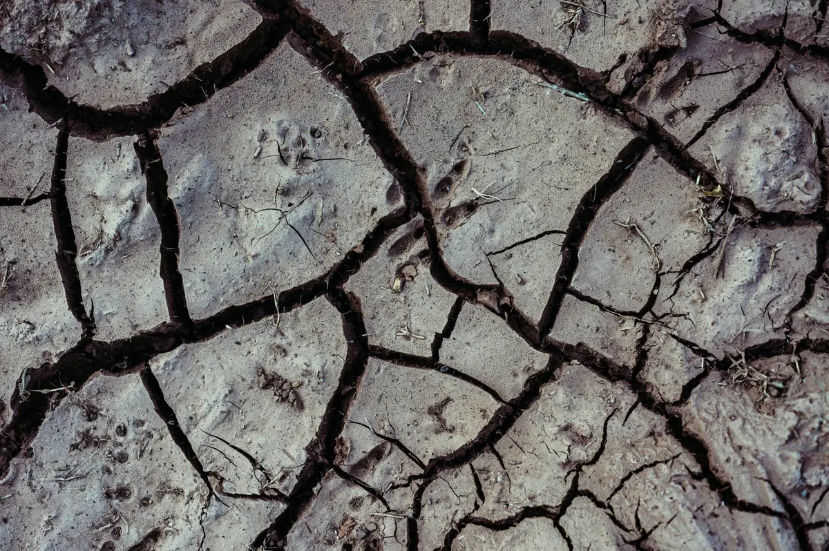 Impact des saisons sur le paludisme à N'Djamena