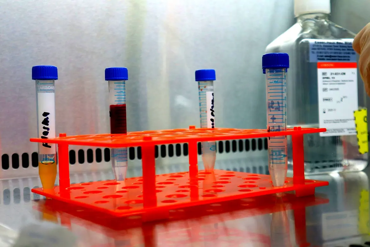 Perspectives futures des MTI en thérapie oro-faciale