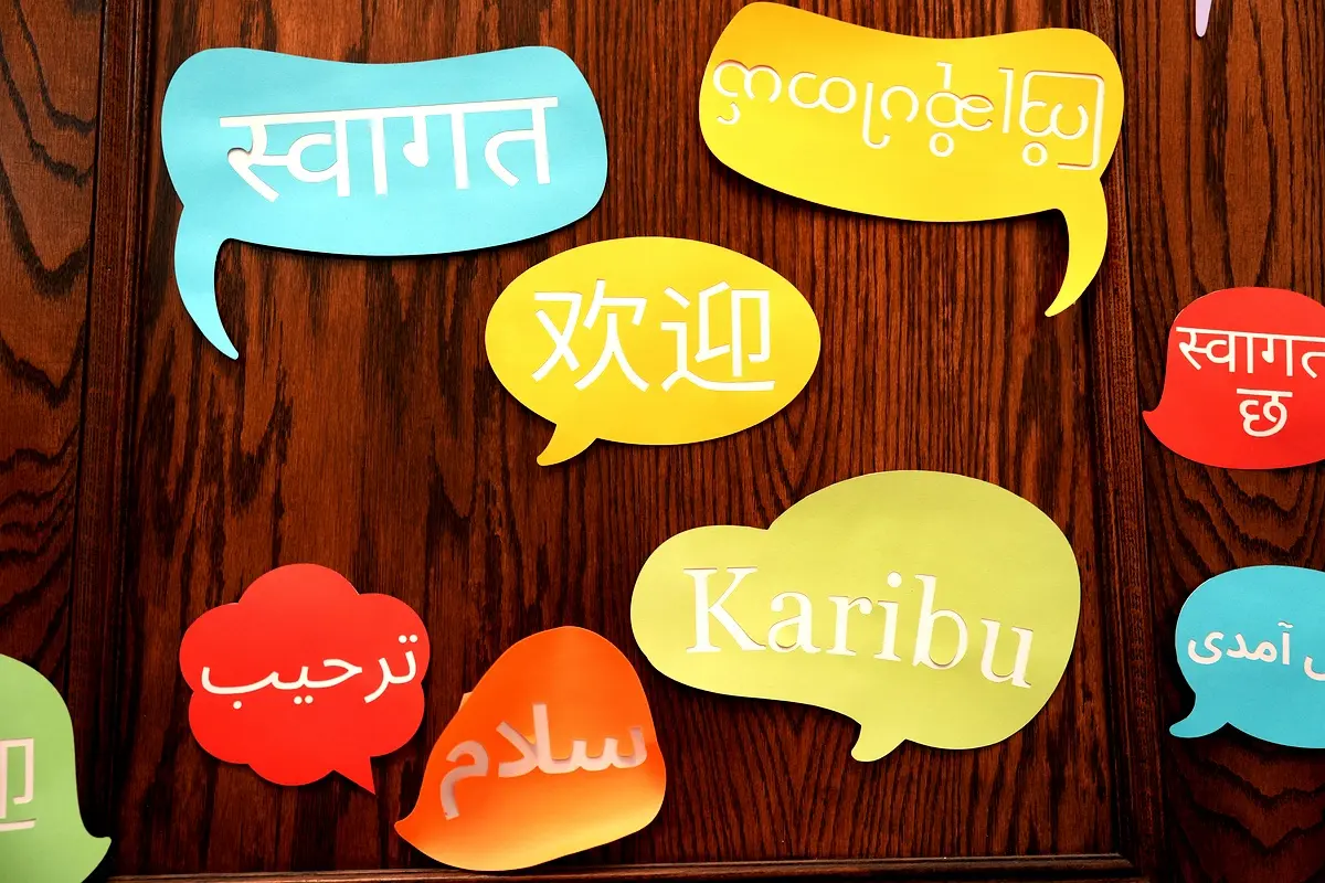 Perspectives futures du français chez les étudiants subsahariens