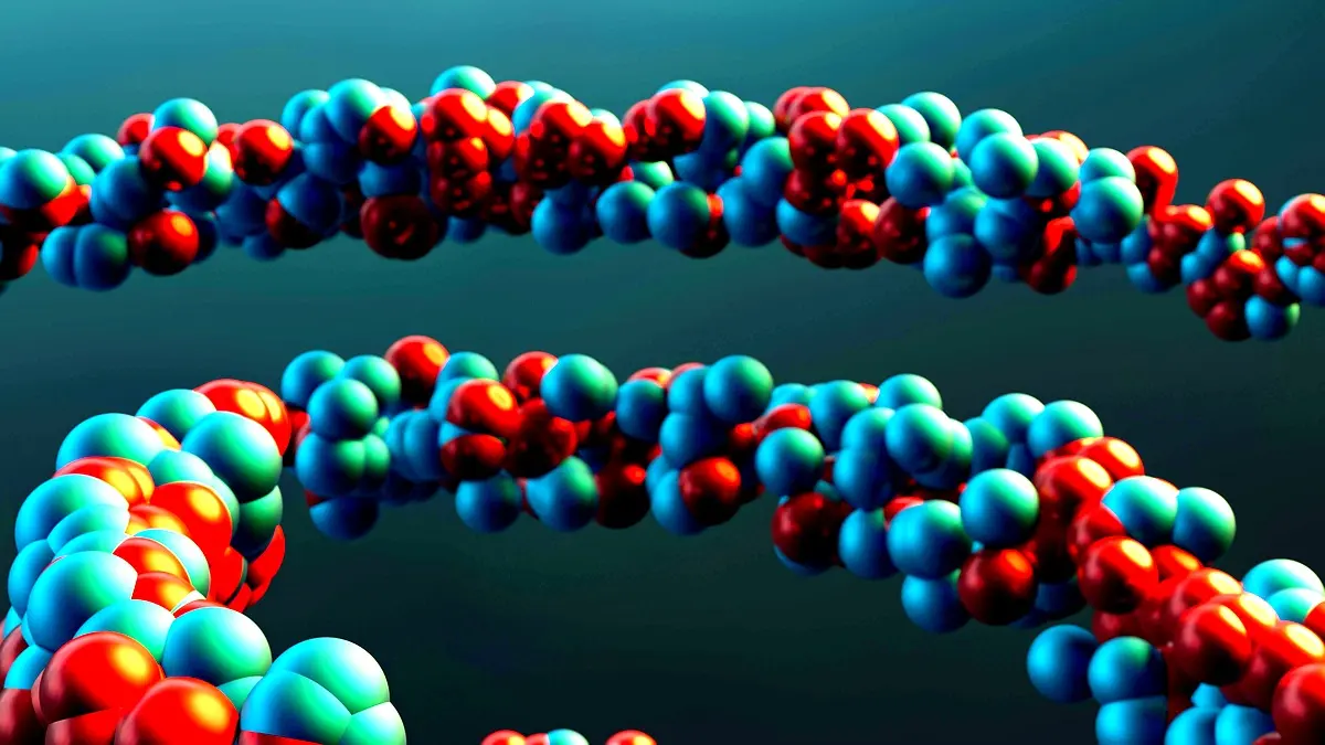Perspectives futures sur l'instabilité des microsatellites dans le cancer colorectal