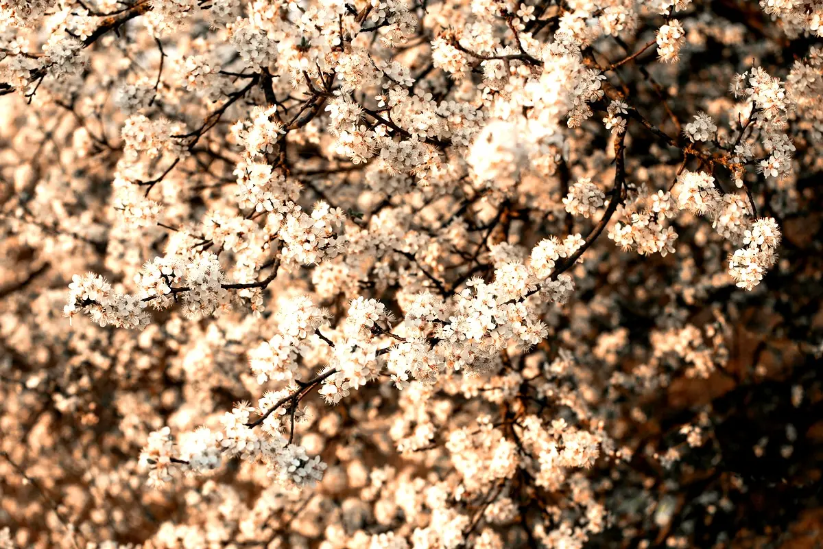 Perspectives futures sur la contamination des sols en RDC