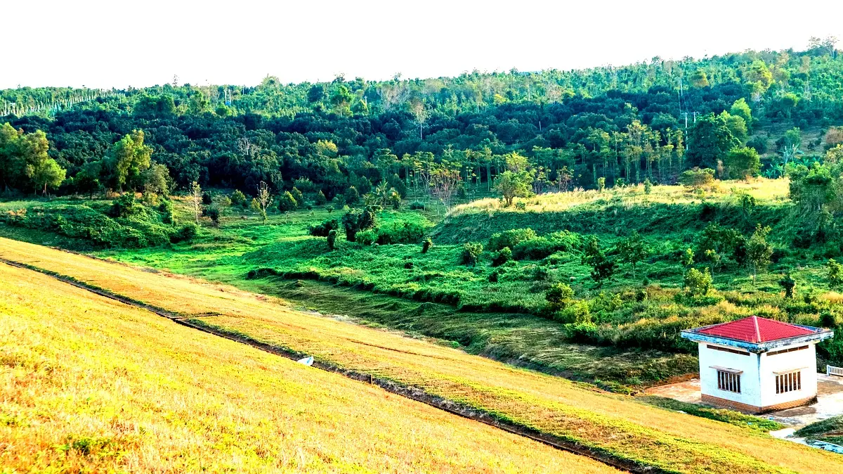 Perspectives d'innovation foncière au Sud-Kivu : Analyse essentielle