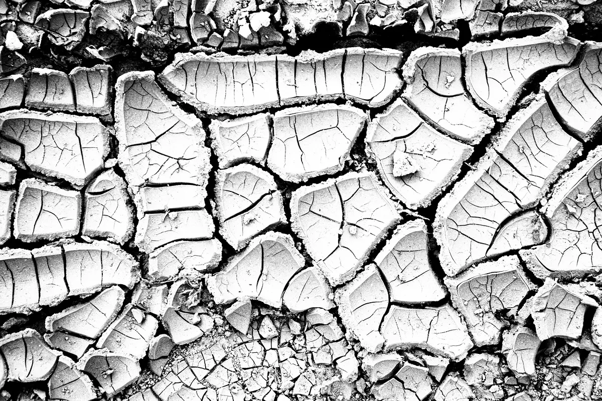 Défis et solutions pour la gestion des sols à Tiravine