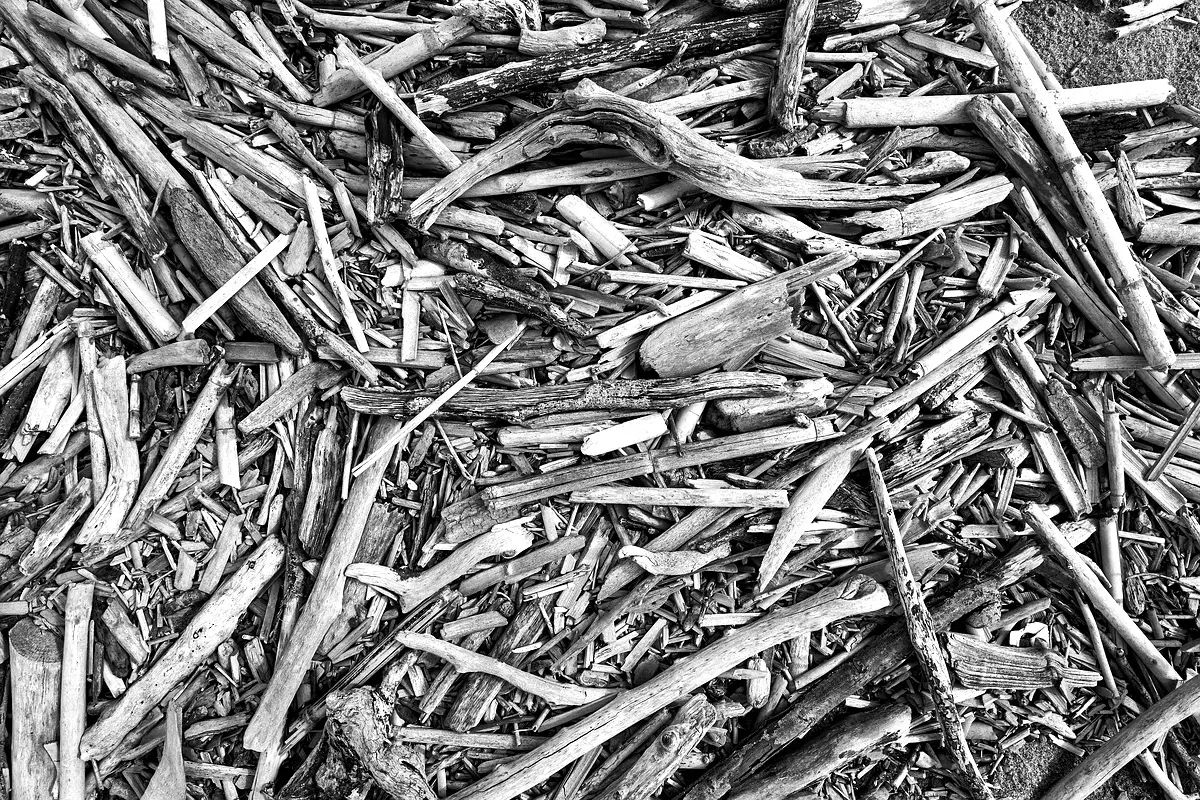 Solutions innovantes pour la qualité microbiologique du sirop de canne