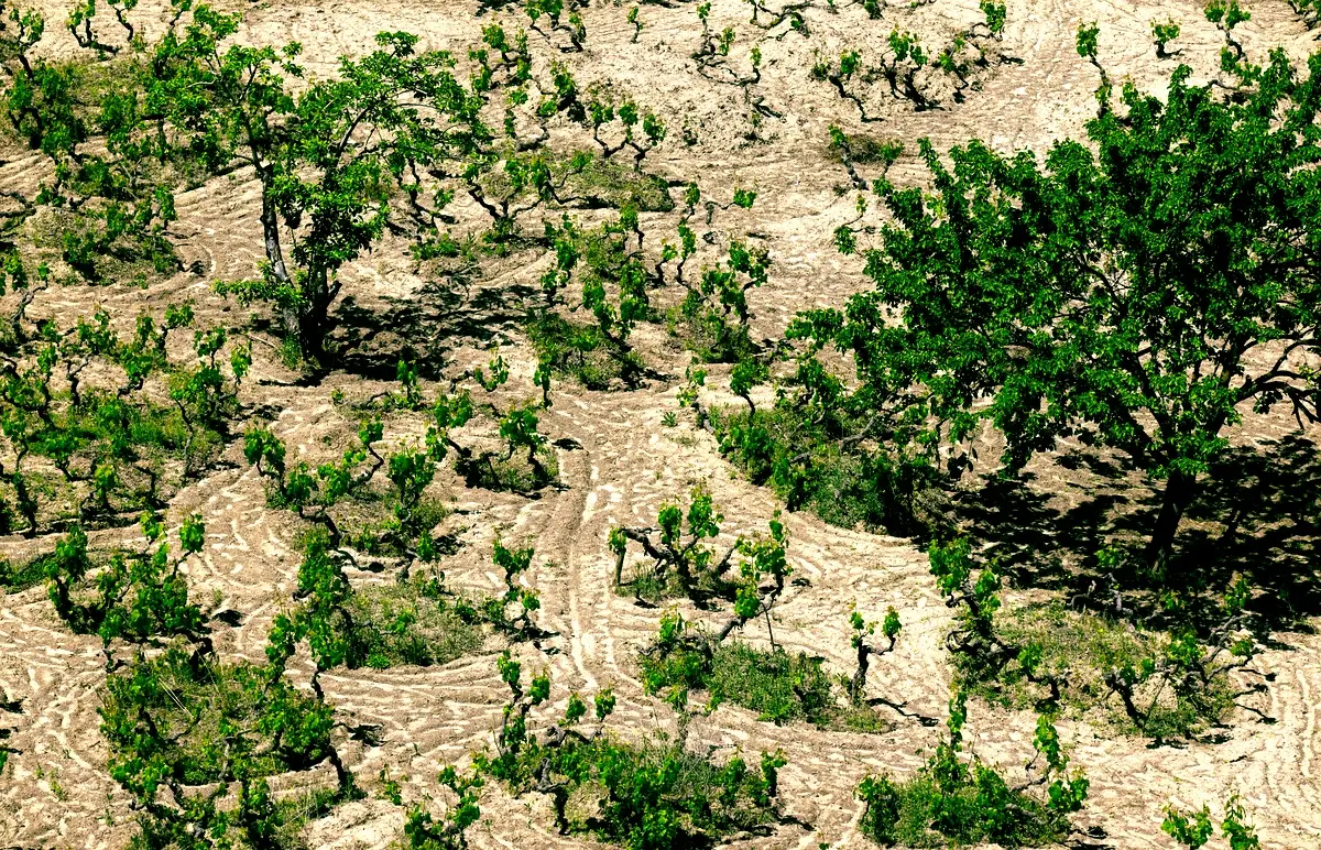 Meilleures pratiques d'adaptation climatique à Tiddas
