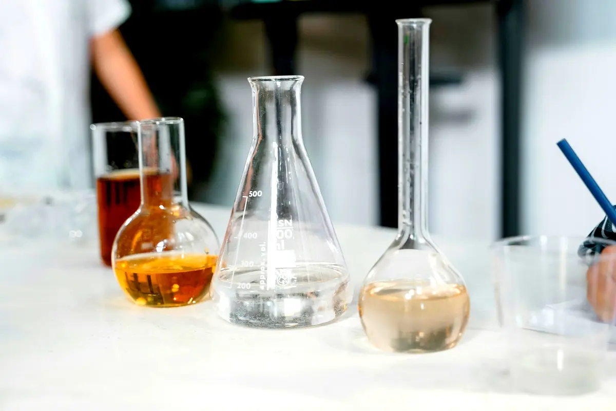 Meilleures pratiques pour la phytoépuration des eaux usées