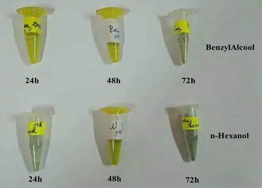 Image 50 - meilleures-pratiques-pour-la-synthese-des-nanoparticules