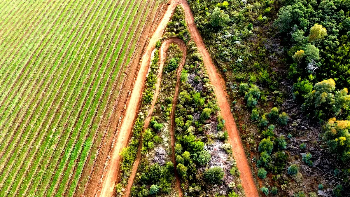 Approche méthodologique pour atténuer le changement climatique