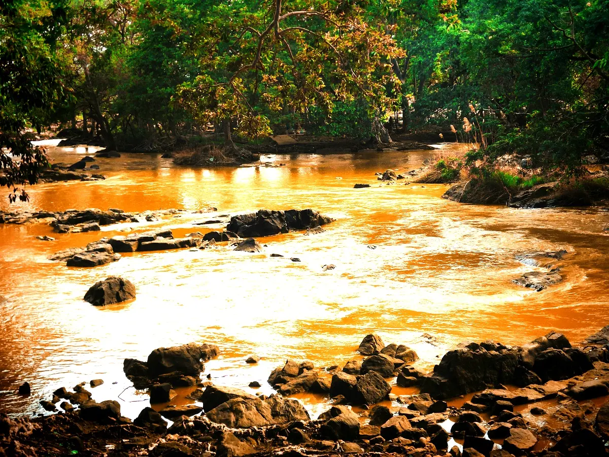 Contamination par le cuivre : résultats d'une étude approfondie