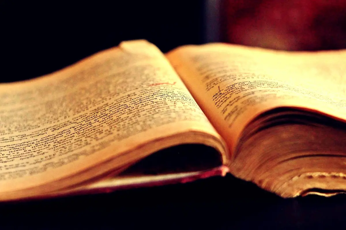 Mouvements sociaux en Haïti : Analyse essentielle