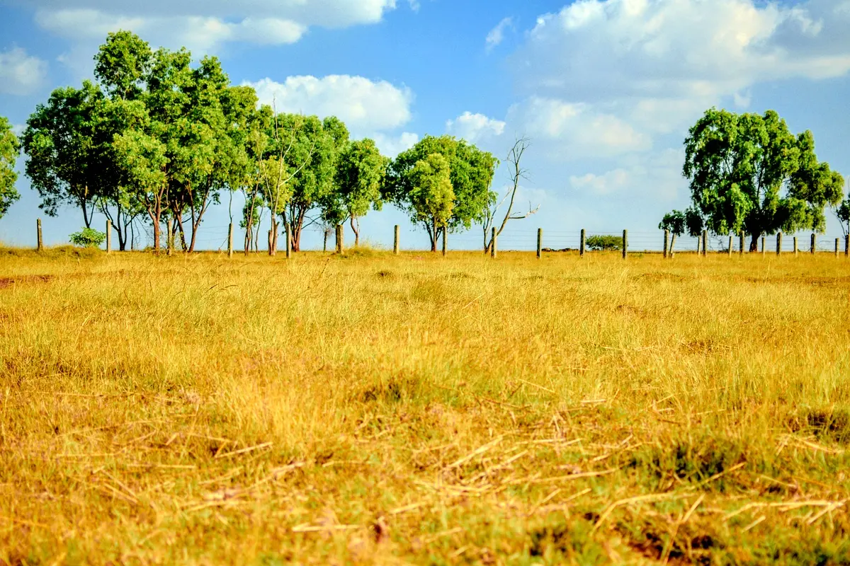 Modèle de titrisation foncière : une innovation cruciale