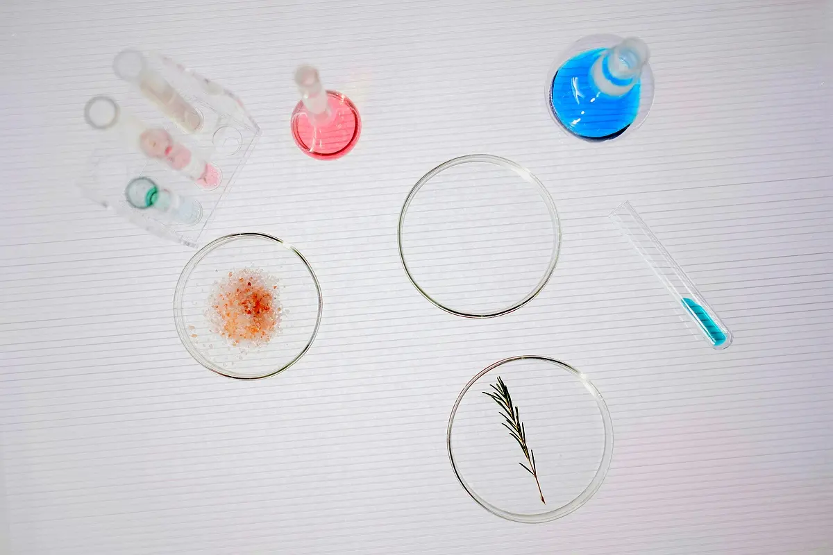 Phytoépuration avec Pistia stratiotes : Solutions innovantes