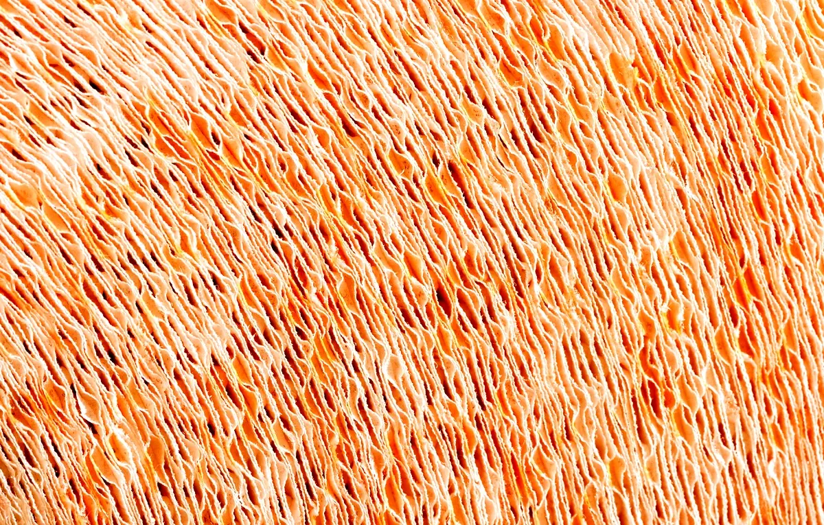 Analyse de cas : thérapie innovante pour la peau