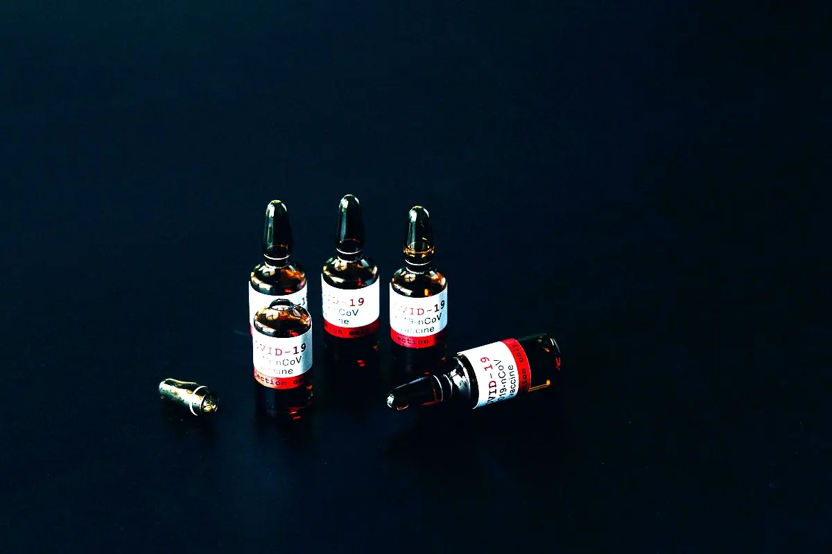 Efficacité de Pistia stratiotes pour le traitement des eaux usées