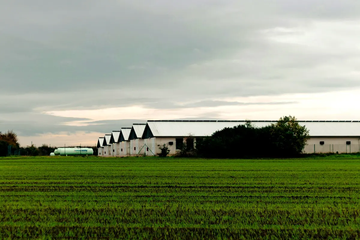 Stratégies essentielles pour améliorer la gestion foncière en Haïti