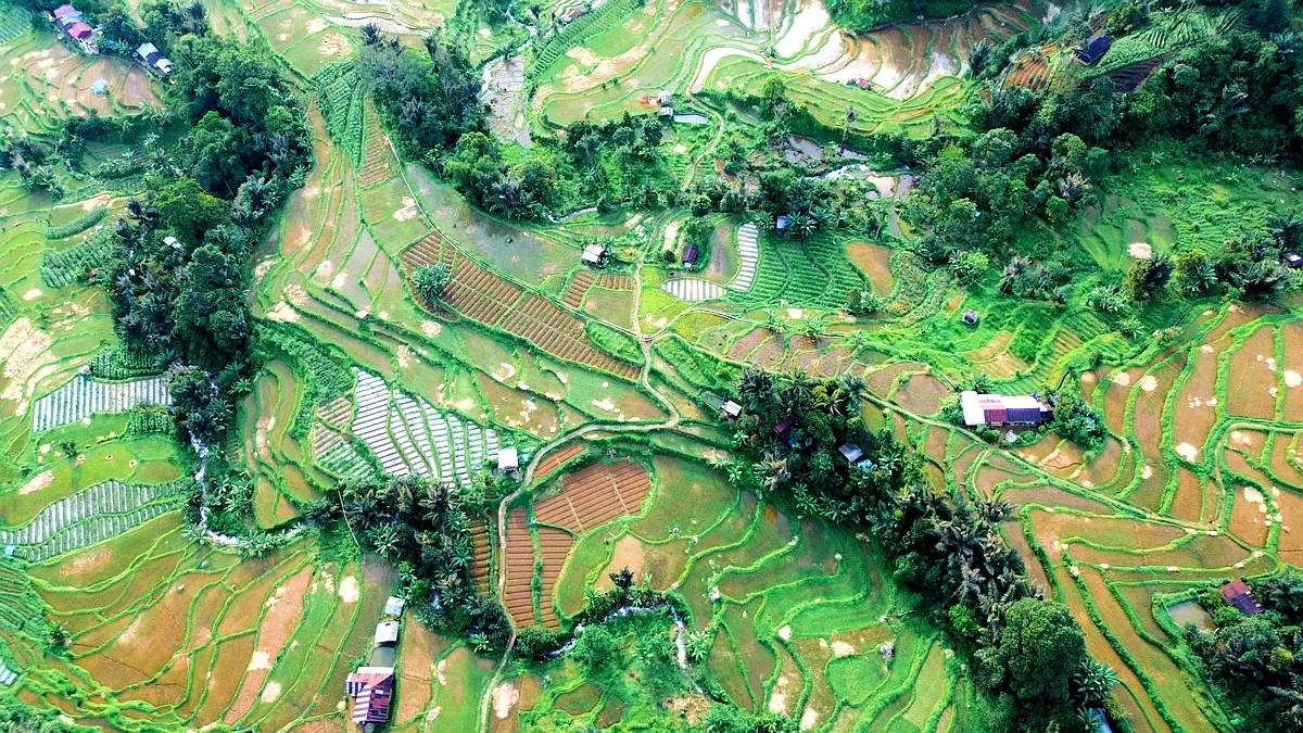 Stratégies d'implémentation pour la sécurisation foncière