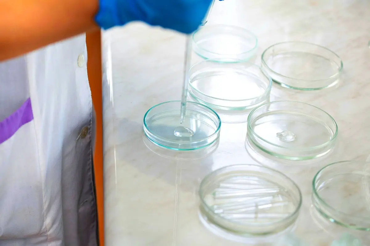 Méthodologie d'adaptation cinématographique du Colonel Chabert