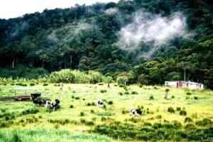 Méthodologie d'adaptation climatique pour Tiddas (2023)