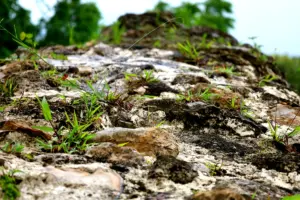 Méthodologie d'analyse biophysique du micro bassin versant