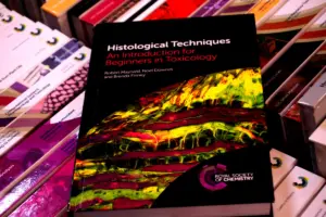 Méthodologie d'analyse littéraire dans L'Art de Perdre