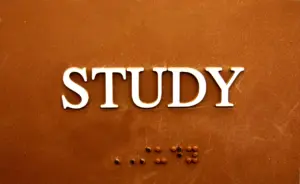 Méthodologie d'analyse littéraire dans la violence de Bey