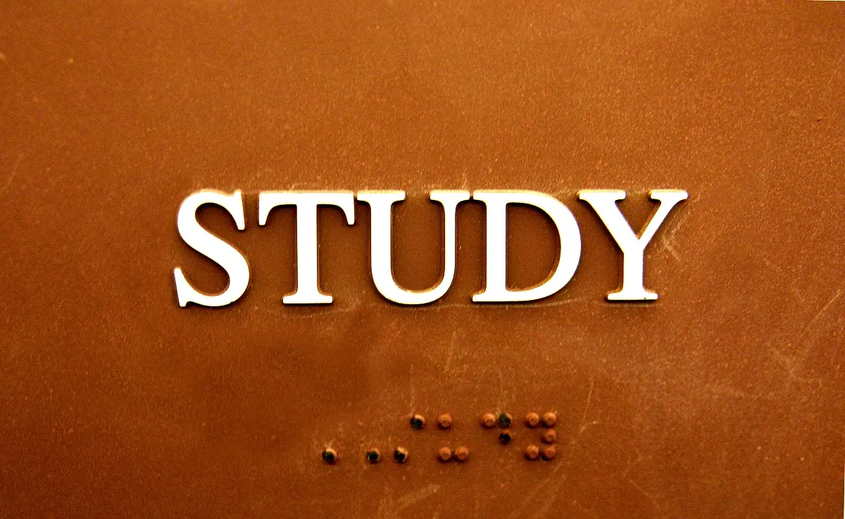 Méthodologie d'analyse littéraire dans la violence de Bey