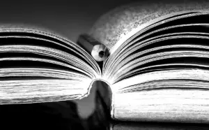 Méthodologie d'analyse littéraire dans le roman algérien