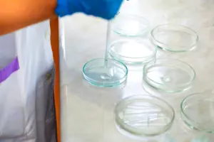 Méthodologie essentielle pour étudier les troubles anxieux chez les seniors