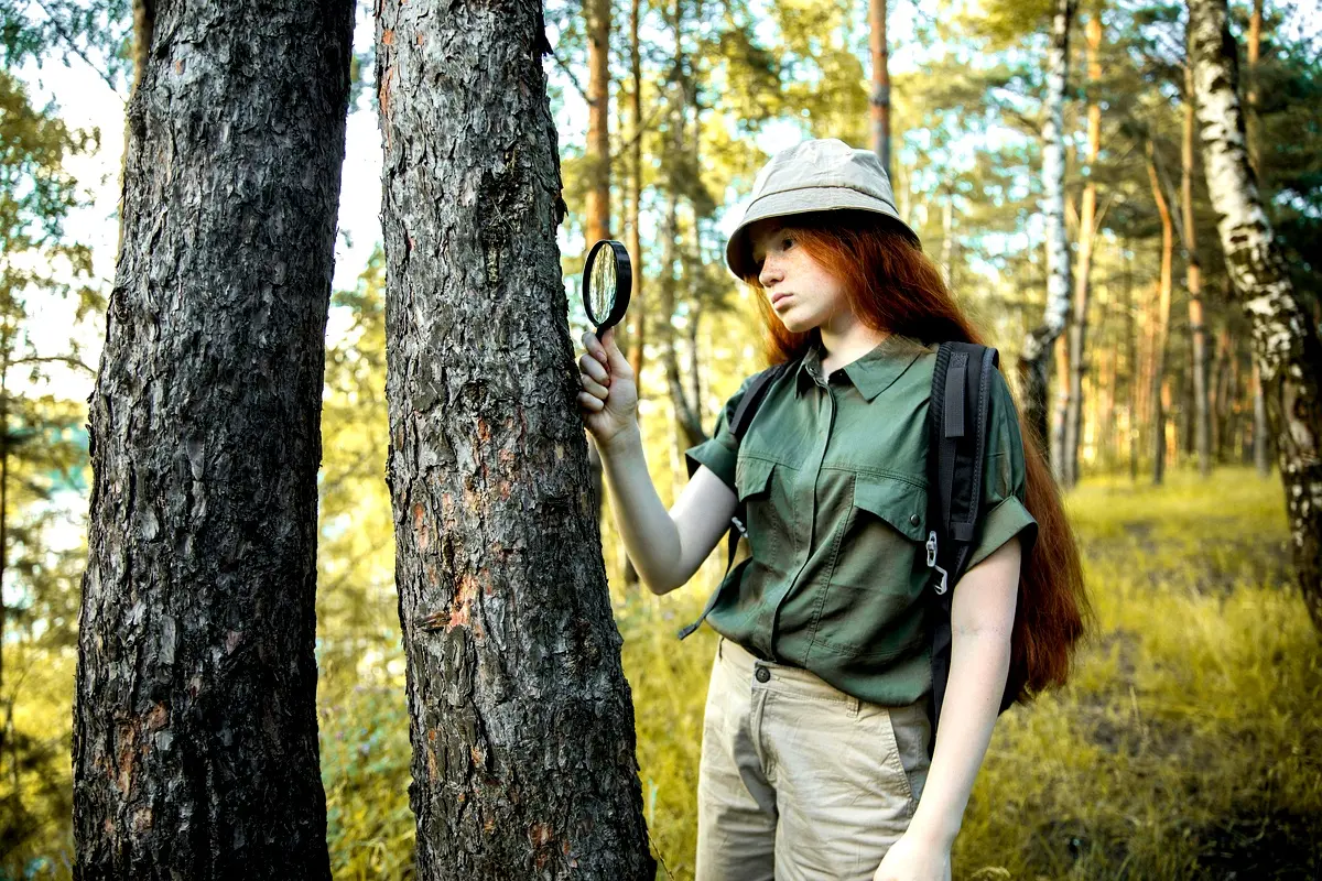 Méthodologie d'évaluation de la régénération forestière à Milolé