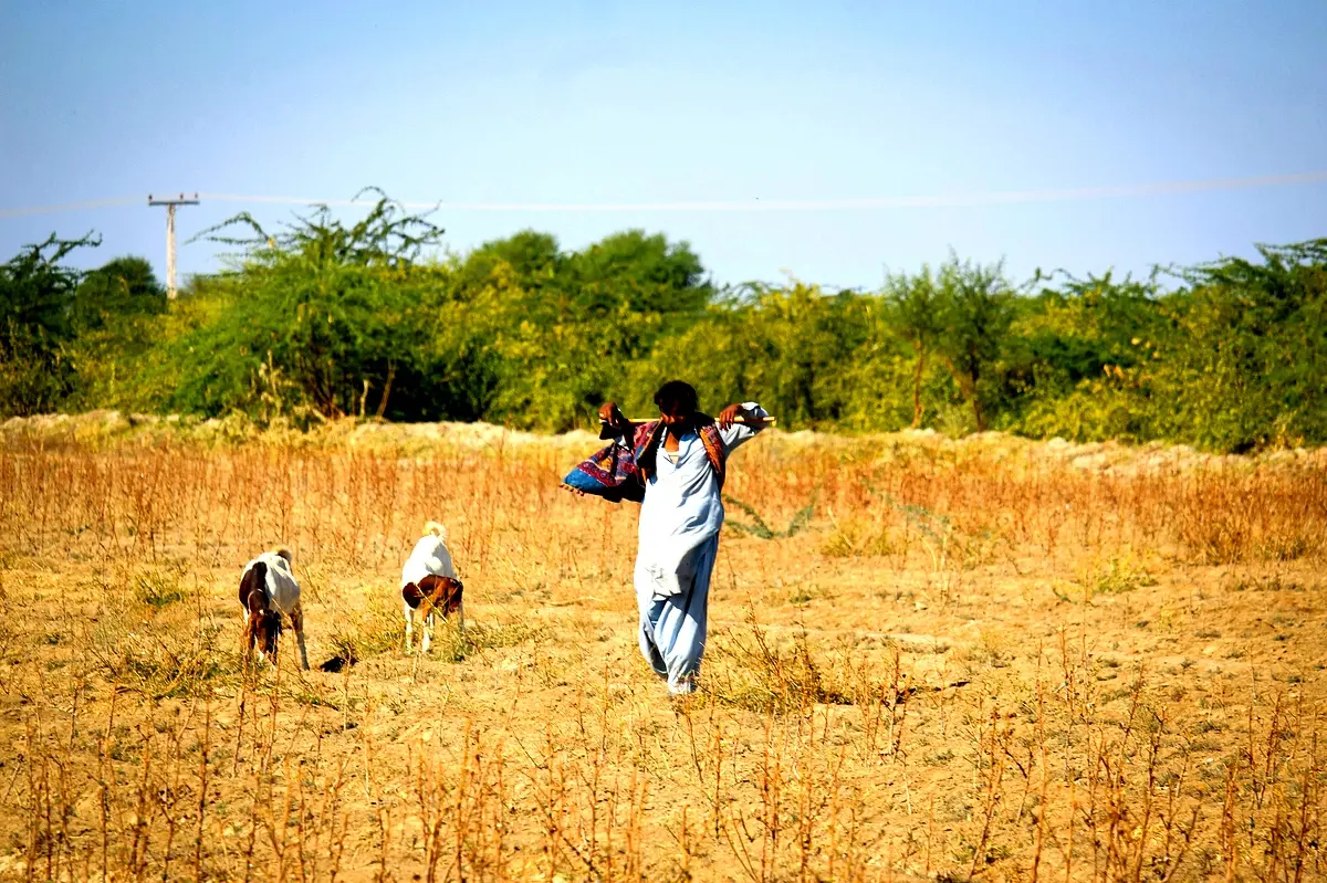 Méthodologie d'innovation foncière au Sud-Kivu : Analyse essentielle