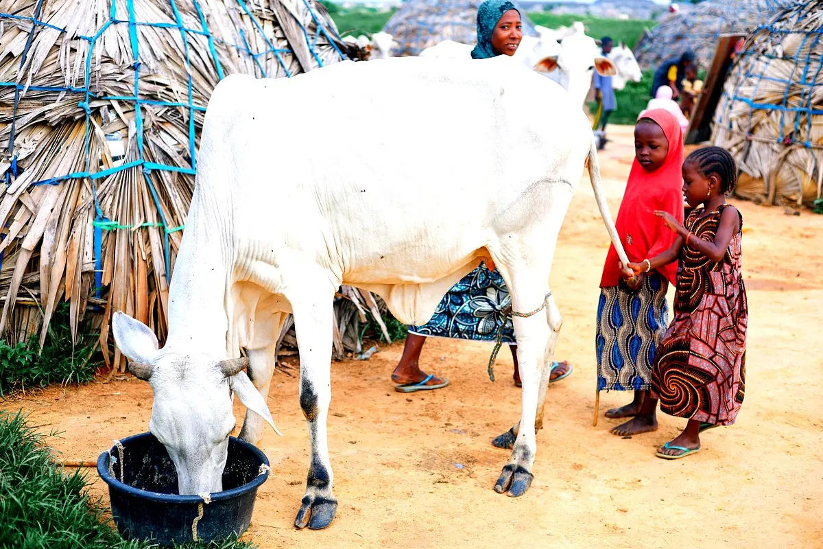 Technologies durables en Afrique : solutions innovantes de l'AFD