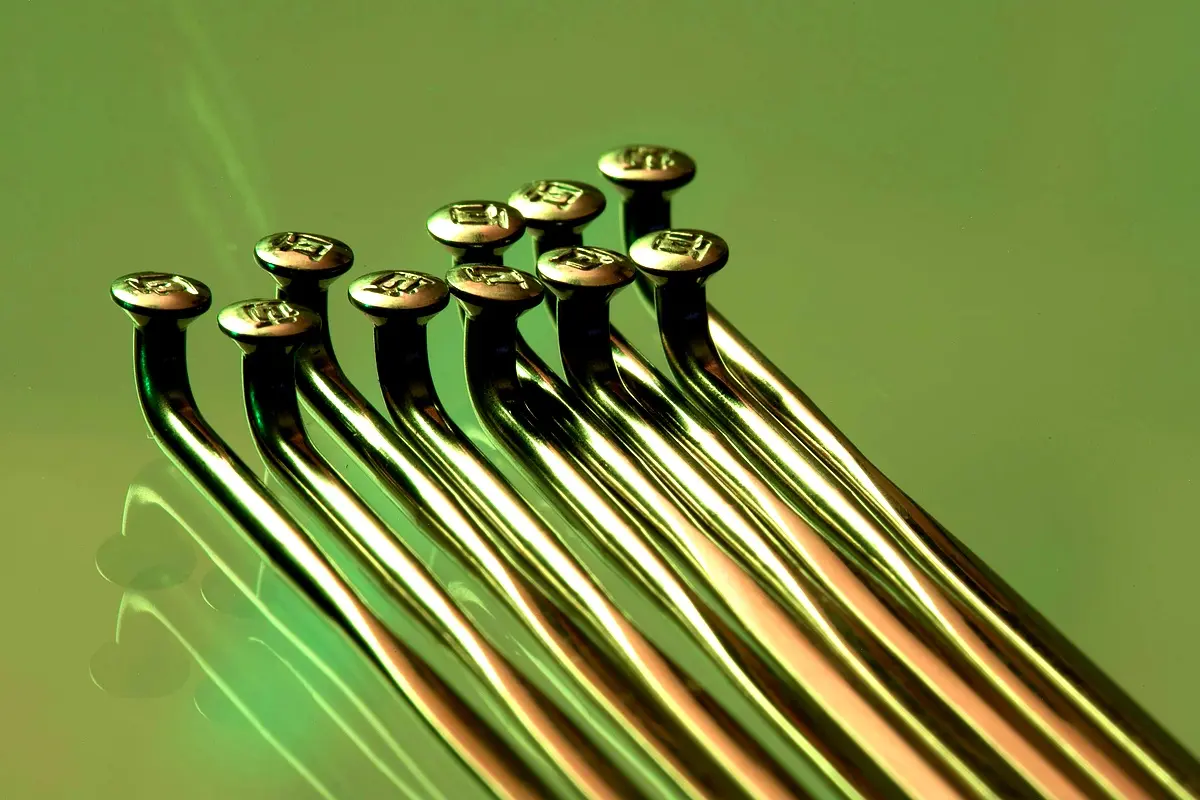 Implications politiques des associations sportives en Tunisie