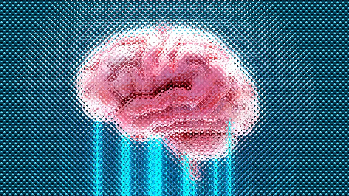 Perspectives d'avenir pour ex-détenus : étude innovante