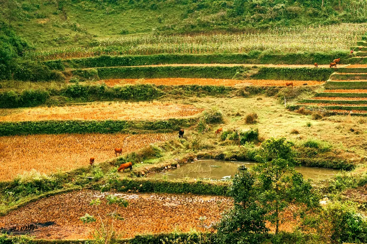 Perspectives d'avenir pour la sécurisation foncière au Sud-Kivu
