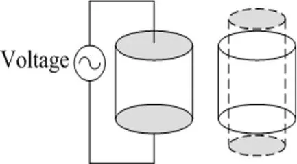 Image 7 - comportement-des-coques-fgm-en-flexion-electro-magnetique