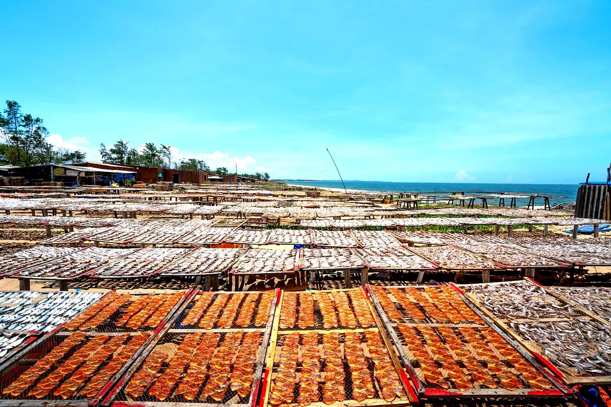 Droits des communautés au Nord-Kivu : résultats essentiels