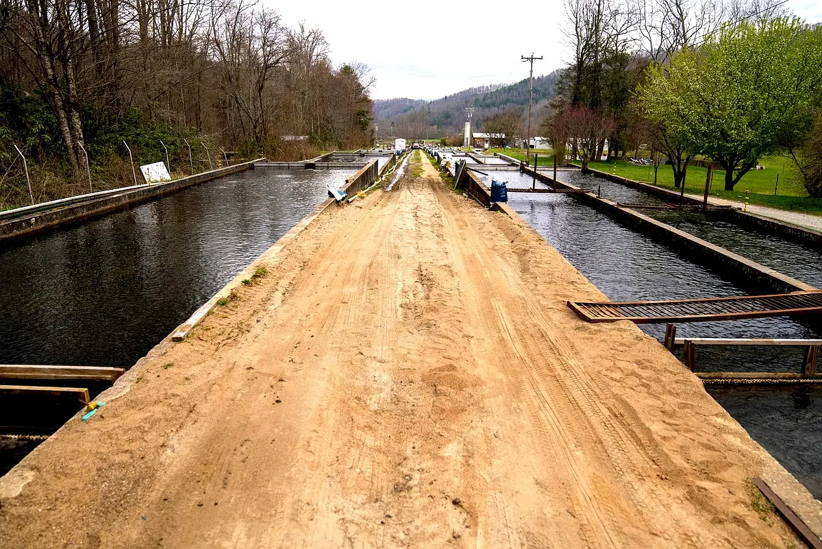 Gestion des périmètres irrigués : résultats clés pour Haïti