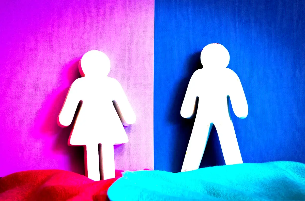 Identité et exil chez Leïla Sebbar : résultats clés